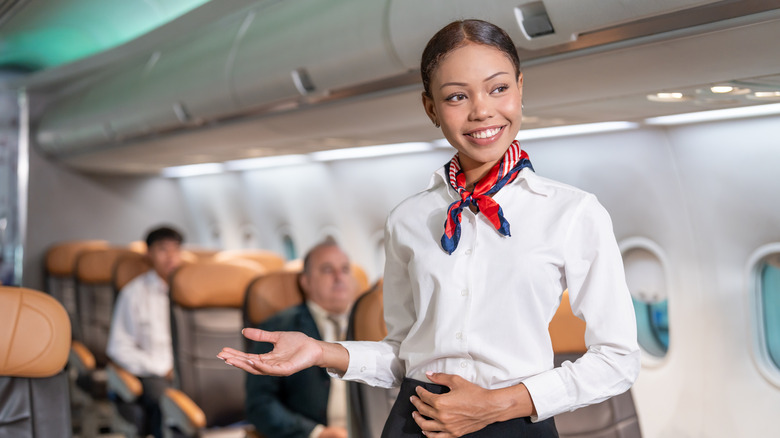 Flight attendant on a plane
