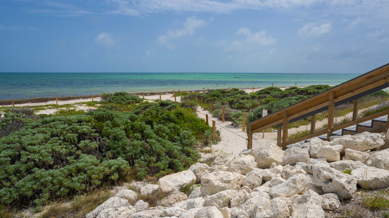 Pathway leading to the beach at Bahia Honda State Park