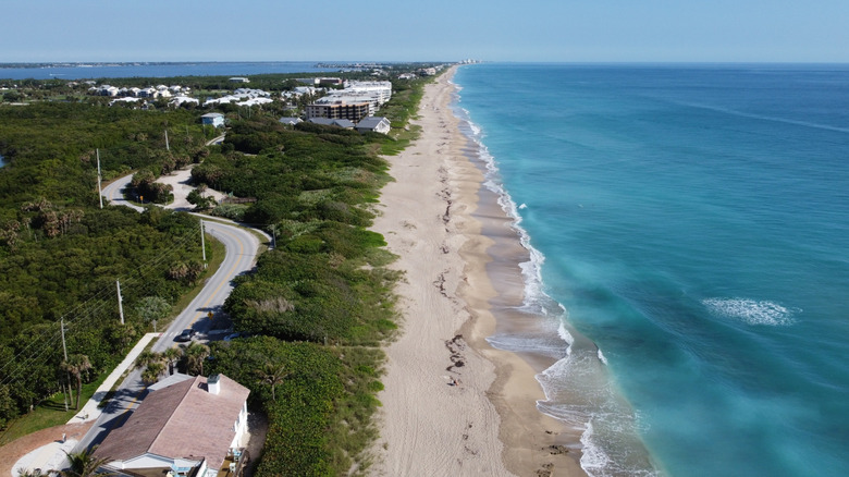 Aerial view of white sand shoreline, trees, and ocean on Hutchinson Island.
