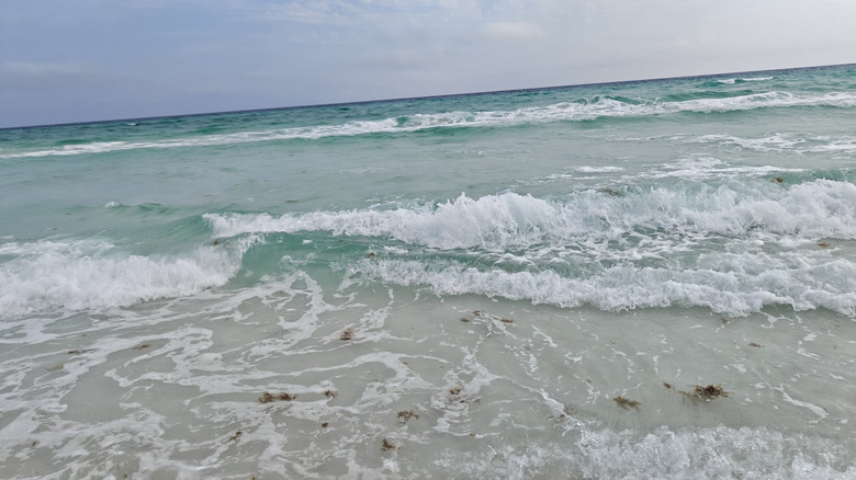 Sun and surf at Grayton Beach State Park in Florida