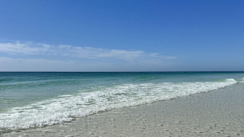 Soft white sand and clear water at Grayton Beach State Park in Florida