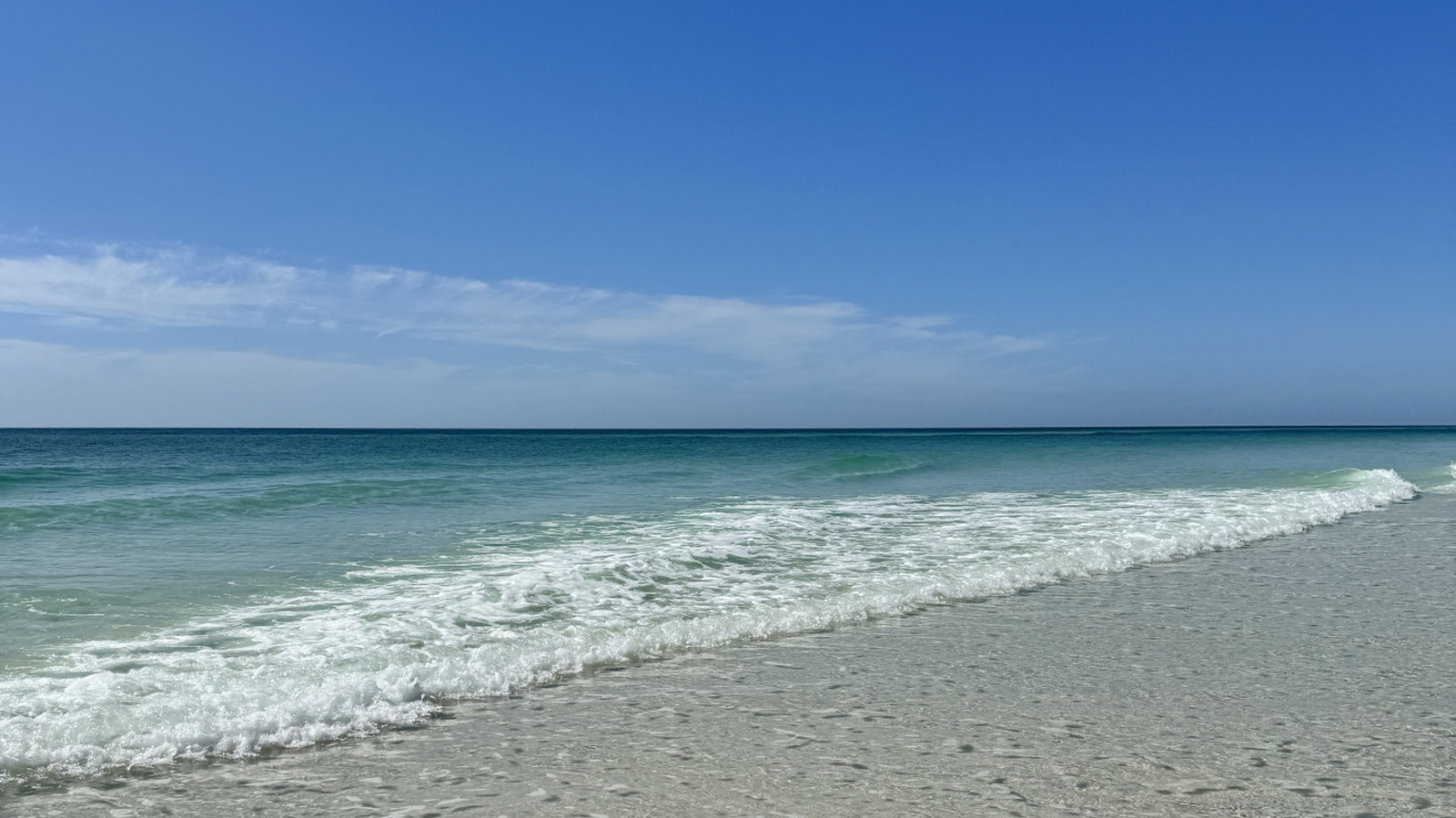 Florida's Gorgeous Beach State Park Boasts Pristine Water And Sugar-White Sand