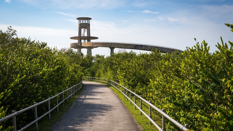 The Shark Valley observation tower in Everglades National Park.