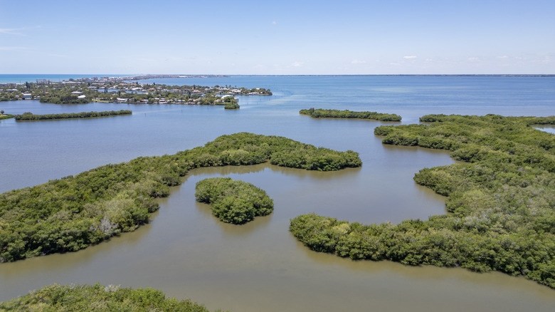 Lush islands viewed from above in Florida's Indian River Lagoon