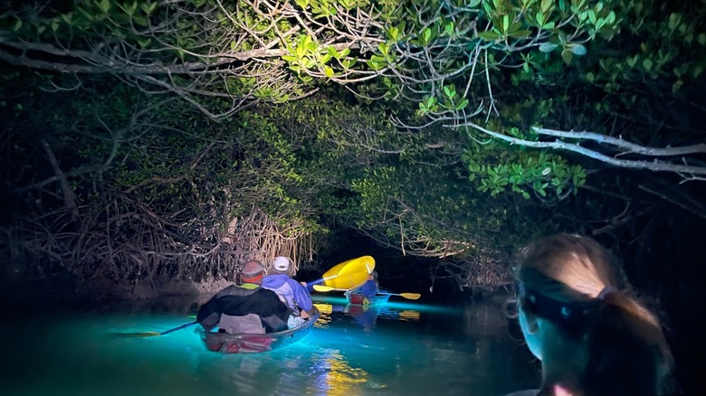 Paddlers in kayaks at night in glowing blue water