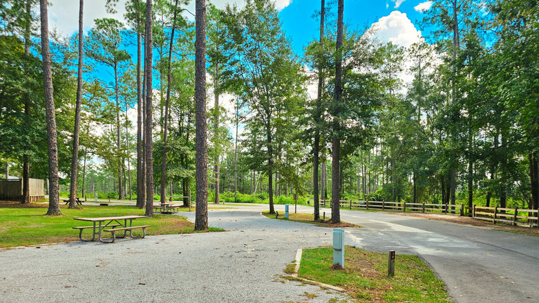 the Pine Ridge Campground at Falling Waters State Park