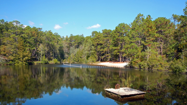 The lake at Falling Waters State Park in Florida