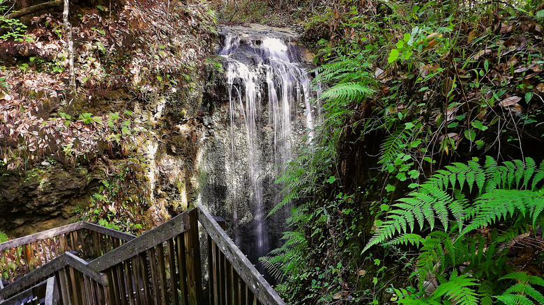 The waterfall at Falling Waters State Park in Florida