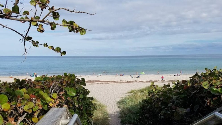 View of Hobe Sound Beach from a walkway