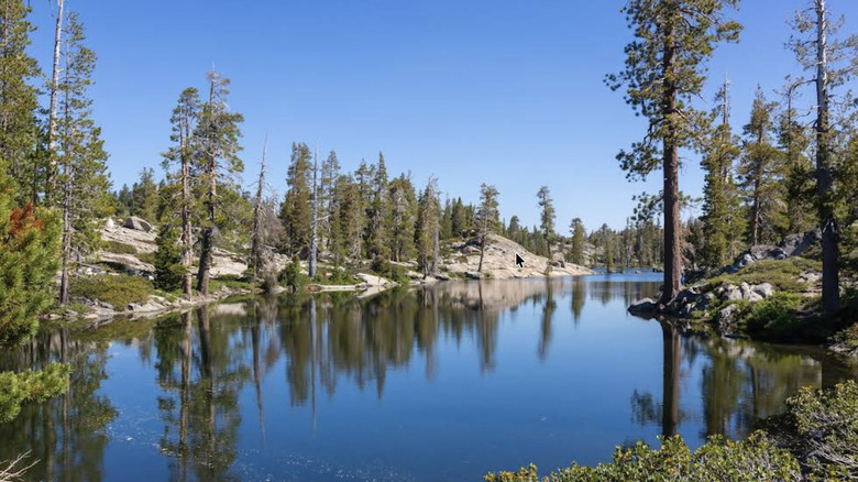Trees reflecting off the surface of one of the three Loch Leven lakes in California