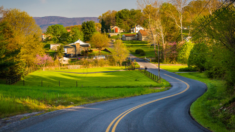 Windy road leading into the Shenandoah Valley area