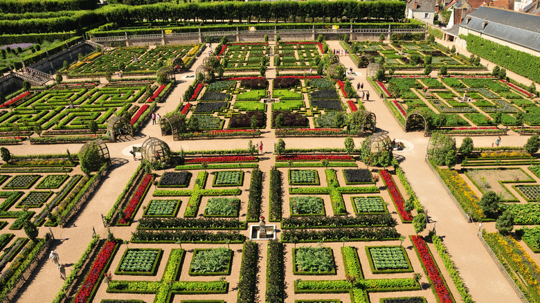 The geometric gardens of the Château de Villandry