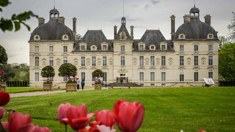 View of the Château de Cheverny with tulips in foregorund