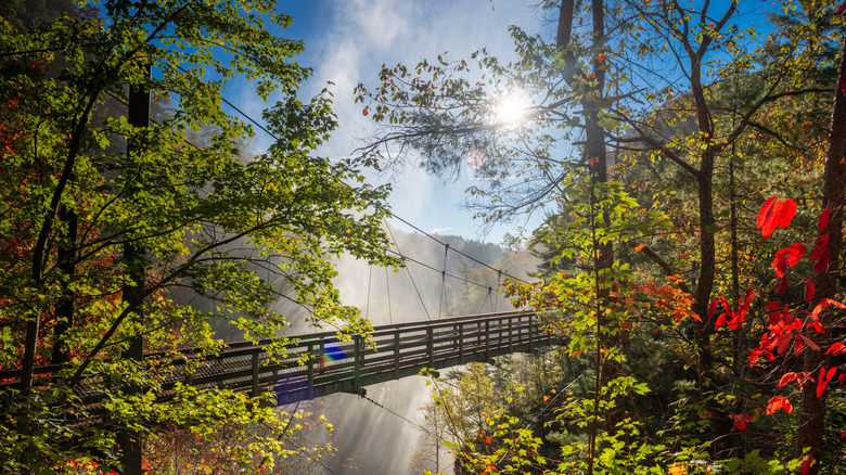 Suspension bridge next to a waterfall in Georgia's Tallulah Gorge State Park