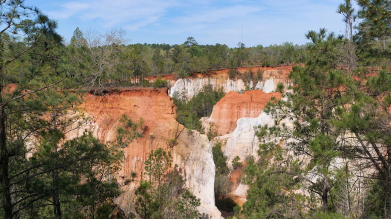 Colorful soil lines the deep gullies of Providence Canyon State Park