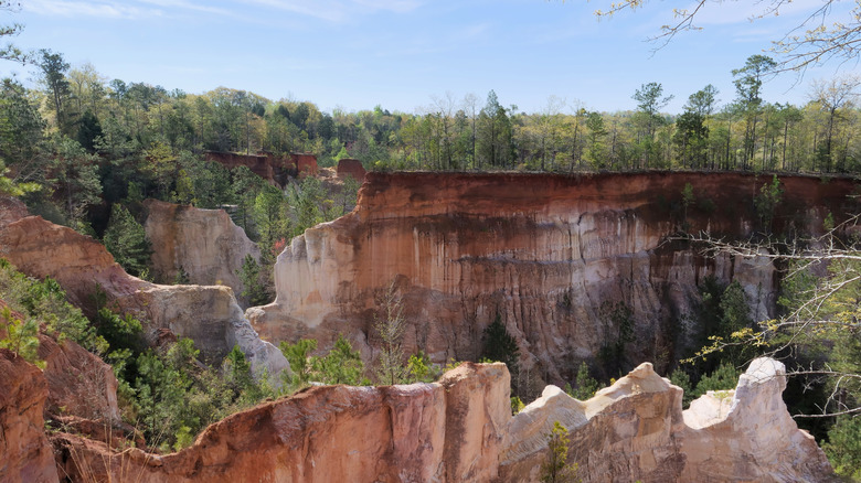 Orange canyons in Providence Canyon State Park, GA