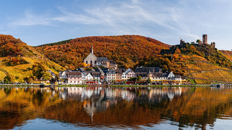 Hillside vineyards in Germany's stunning Mosel Valley