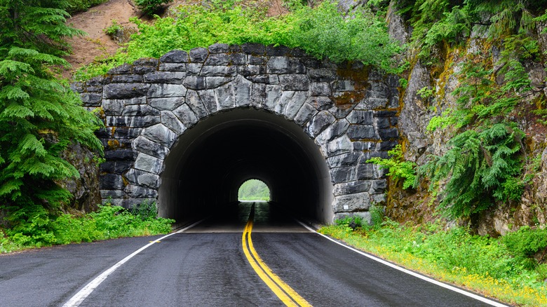 A tunnel on SR123 outside of Mt. Rainier National Park