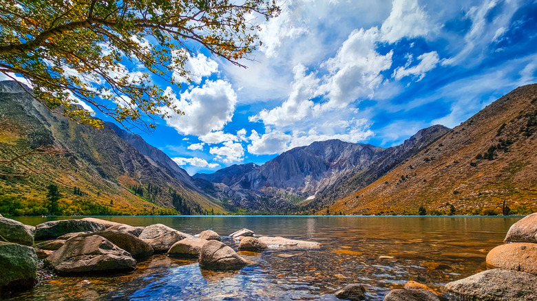 Autumn leaves and white clouds over California's Convict Lake, located high in the Eastern Sierra mountains