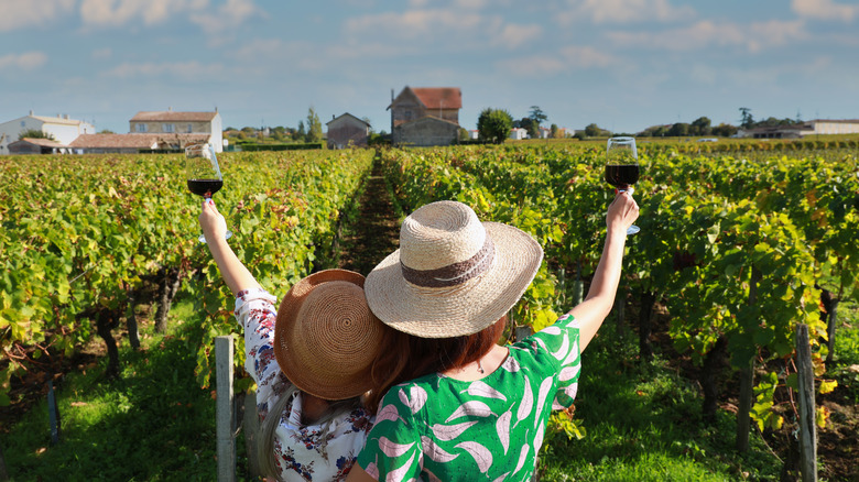 Two women toasting wine in a vineyard