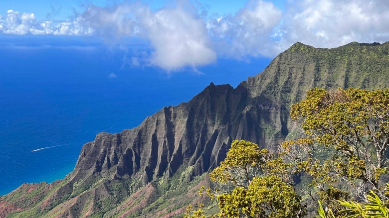 Views of the ocean and jagged cliffs at Waimea Canyon Lookout