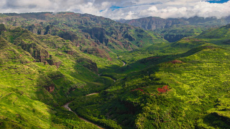 An ariel view of lush Waimea Canyon in Waimea Canyon State Park, Hawaii, under a cloudy sky