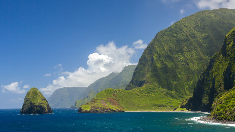 The towering sea cliffs on Moloka'i