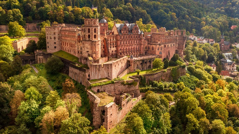 An aerial view of Heidelberg Castle ruins