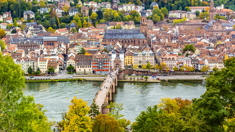 A view of Old Town Heidelberg from a south-facing hillside