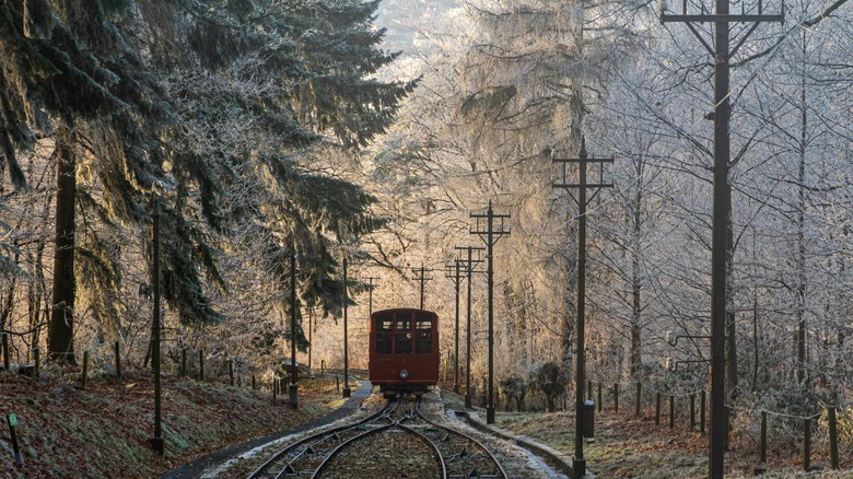 A funicular moves through frosty trees above Heidelberg