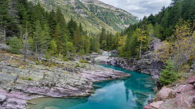 McDonald Creek carves its way through rocks and forest