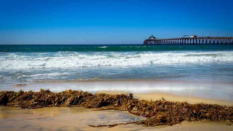 The fishing pier at Imperial Beach, California