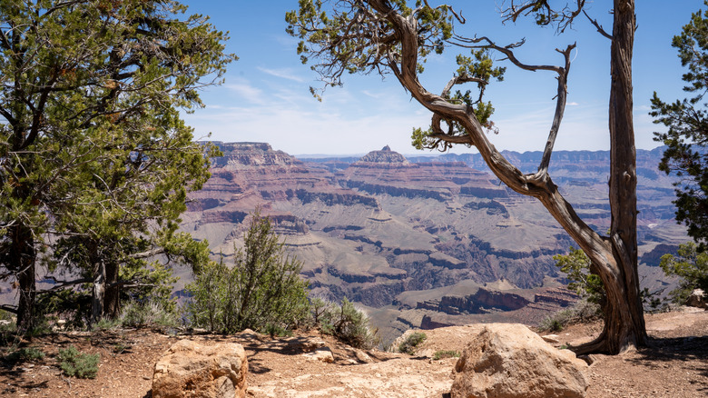 View of Grand Canyon from Shoshone Point, Grand Canyon National Park, Arizona, USA
