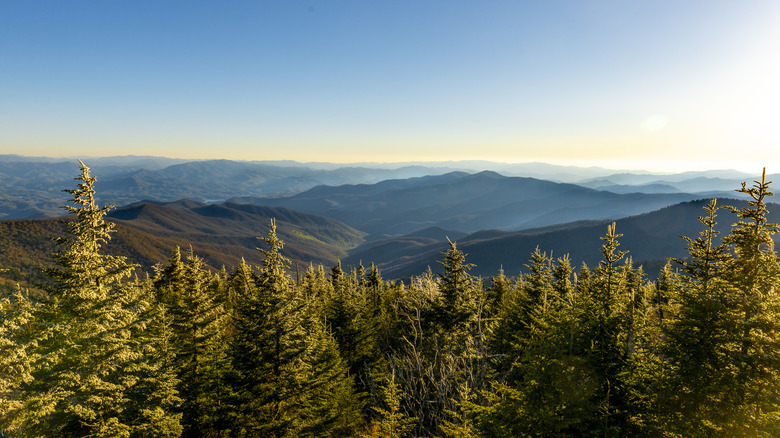 View of Great Smoky Mountains National Park from the Kuwohi summit lookout, off of Newfound Gap Road between Tennessee and North Carolina
