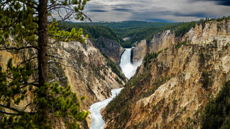 View of the Lower Falls of the Yellowstone River in the Grand Canyon of the Yellowstone, as seen from Artist Point