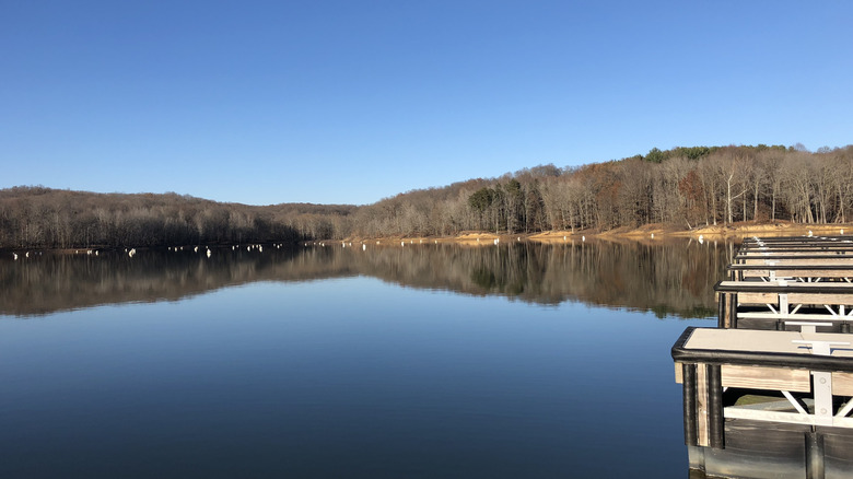 The waters of Monroe Lake in Indiana, with trees along the shoreline
