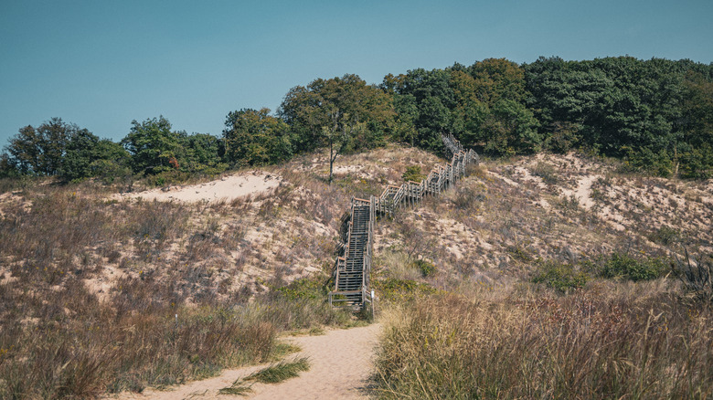 A trail and staircase leading up to the sand dunes along the Lake Michigan shoreline in Indiana Dunes National Park, Indiana