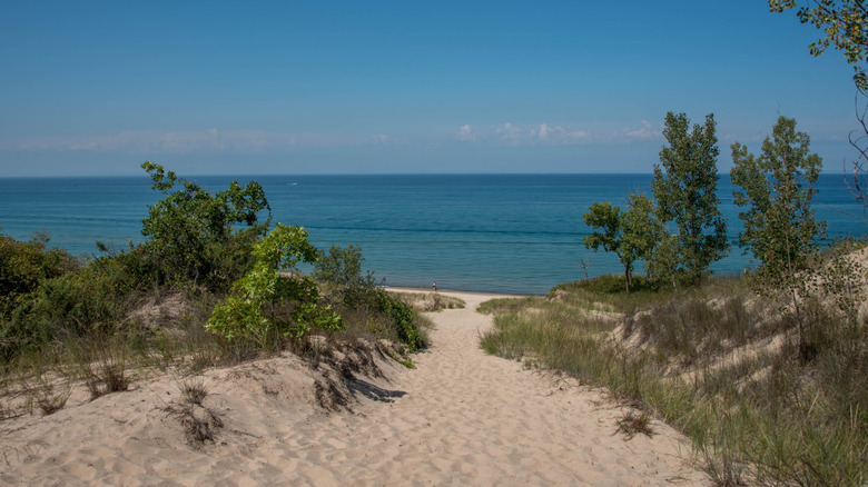 Sand dunes leading to the shore of Lake Michigan, Indiana Dunes National Park, Indiana