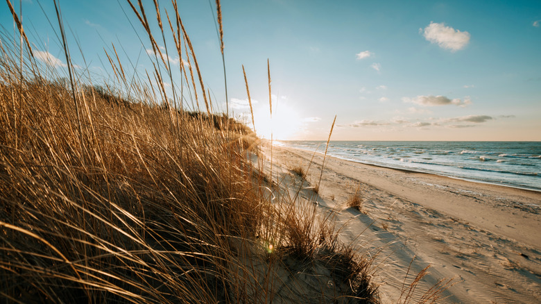 Sun sets over a beach on Lake Michigan in Indiana Dunes National Park