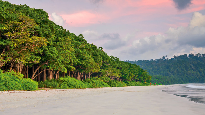 A landscape of Radhanagar Beach on Havelock Island