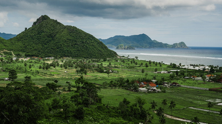 Aerial view of agricultural fields, village, hills and beach on tropical island, Lombok