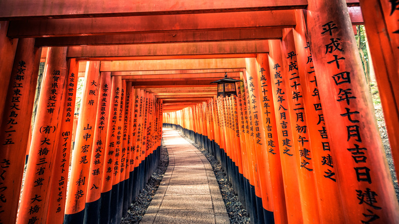 Tunnel of torii gates at Fushimi Inari Taisha Shrine