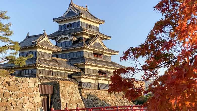 Matsumoto Castle and autumn leaves
