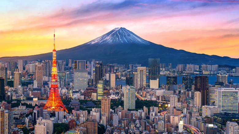 Aerial view of Tokyo