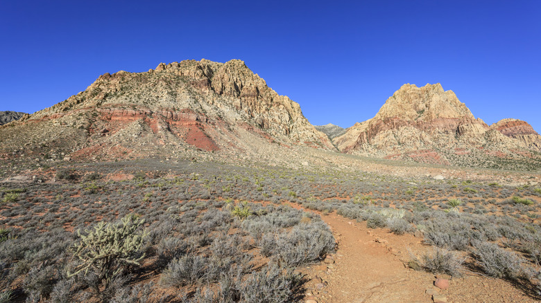 Red Rock Canyon National Conservation Area