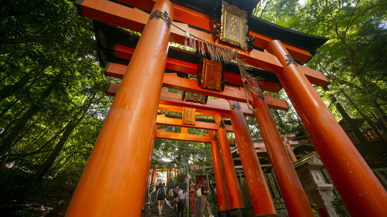 Tourists walk under the large orange tunnel of torii gates at the Fushimi Inari Taisha Shinto Shrine on July 26, 2025 in Kyoto, Japan.