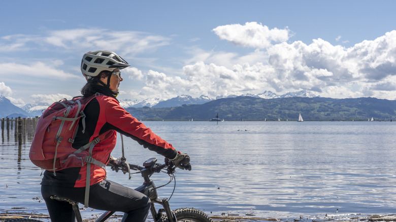 A cyclist looks over Lake Constance