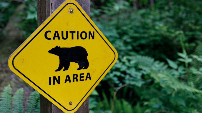 A yellow sign on a wooden post warns people of bears in the area
