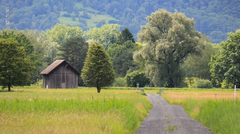 Trail passing through a green valley by a wooden shed