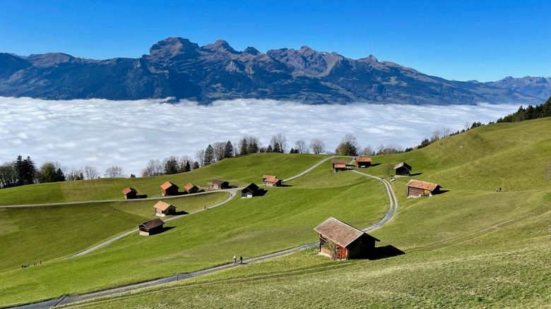 Mountains rising above a meadow of wooden chalets